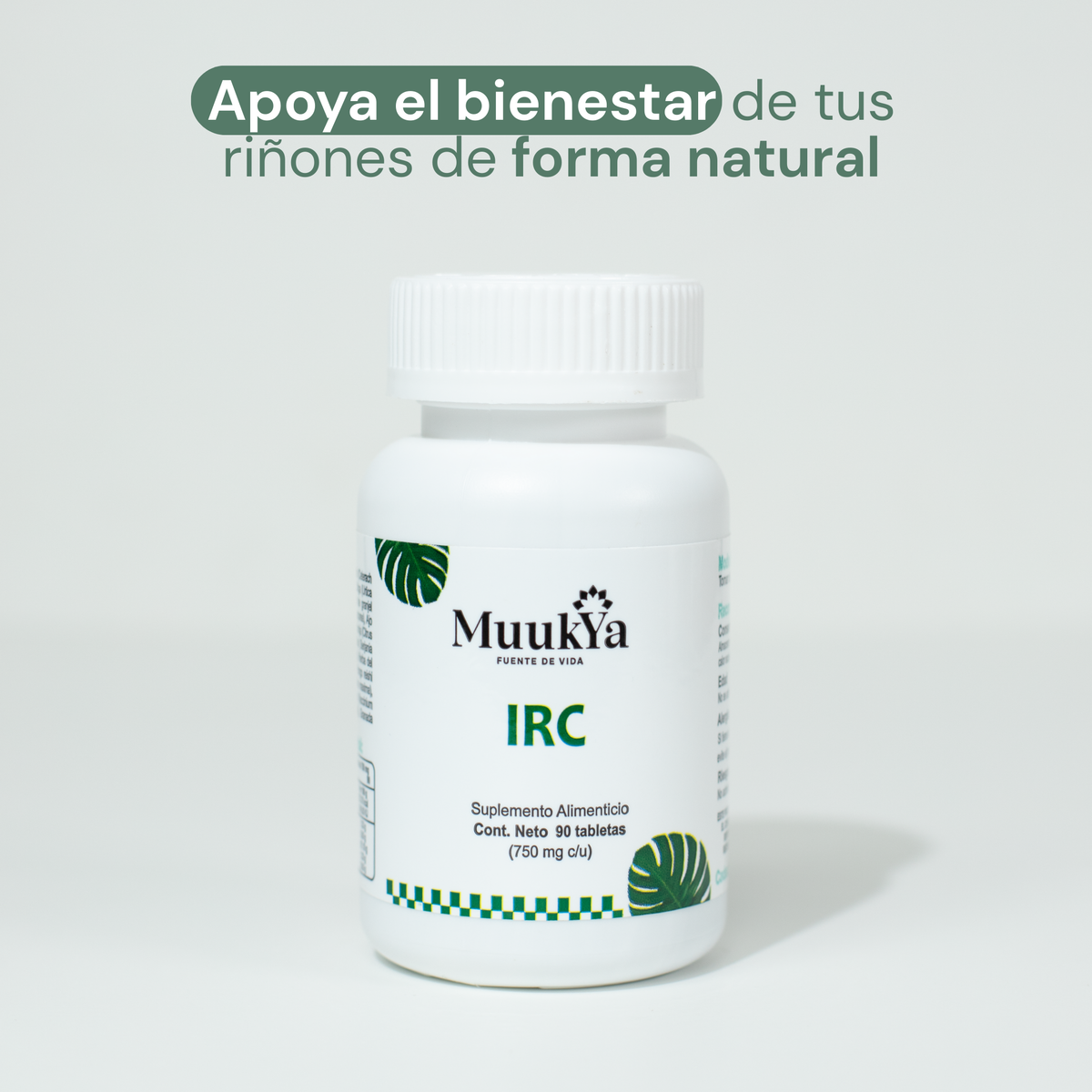 Irc Ruma Apa IRC – muukya
